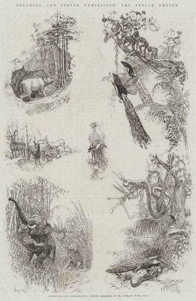 Kolonial- und Indische Ausstellung, das Indische Reich von Amedee Forestier